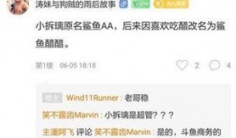 白客恋情爆料网站大全视频,视频内容深度解析